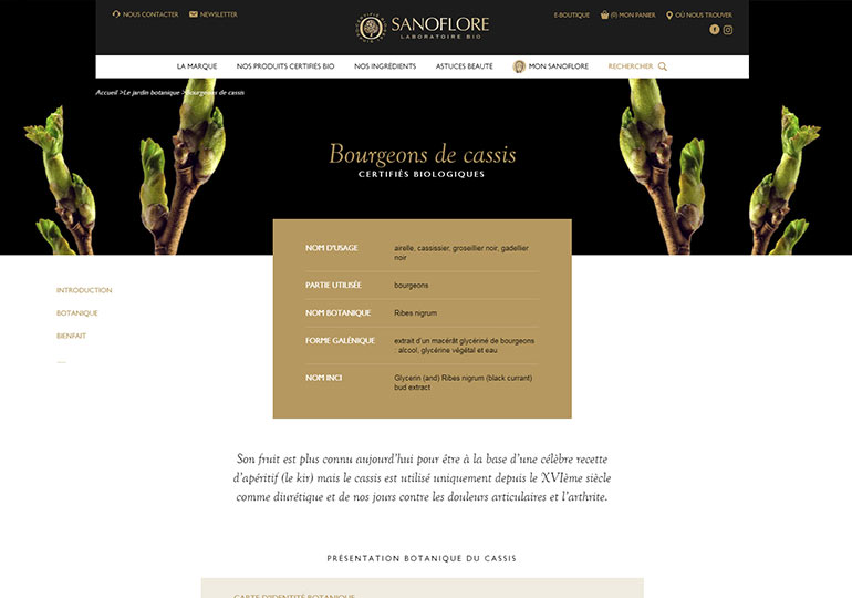 Sanoflore Site web vitrine desktop 3