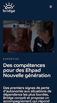 Groupe Bridge - Page expertise mobile